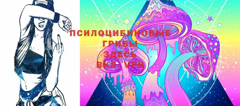 Галлюциногенные грибы Psilocybine cubensis  Дубовка 